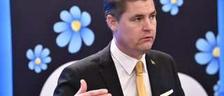 SD vill slopa del av barnbidraget