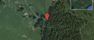 Fallna träd skapar problem i trafiken på väg 534