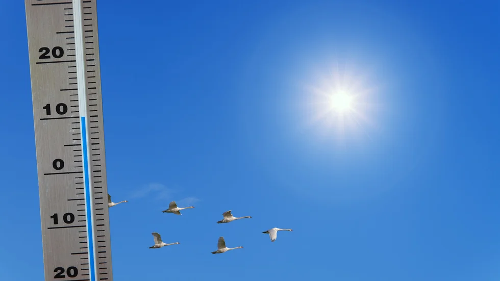 Mot slutet av arbetsveckan kommer solen tillbaka och temperaturer närmare 10-gradersstrecket utlovas vid kusten.