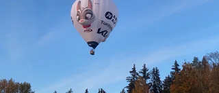 Världsrekordförsök i Luleå i vinter