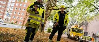 Julljusen ska sprida ljus i höstrusket – här blir det nya dekorationer