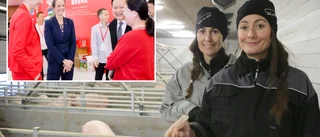 Peg Söderberg om vägen från gotländskt stallgolv till kinesiskt storföretag • "Många ifrågasatte hela principen"