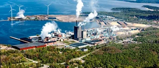 Skogsjätten investerar 450 miljoner kronor – i fluffmassa till mensskydd och blöjor