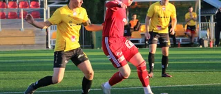 Elfte matchen i rad med poäng för Piteå