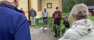 Nya Blomsterstigen kombinerar kunskap och motion: "Kul att så många ville komma"