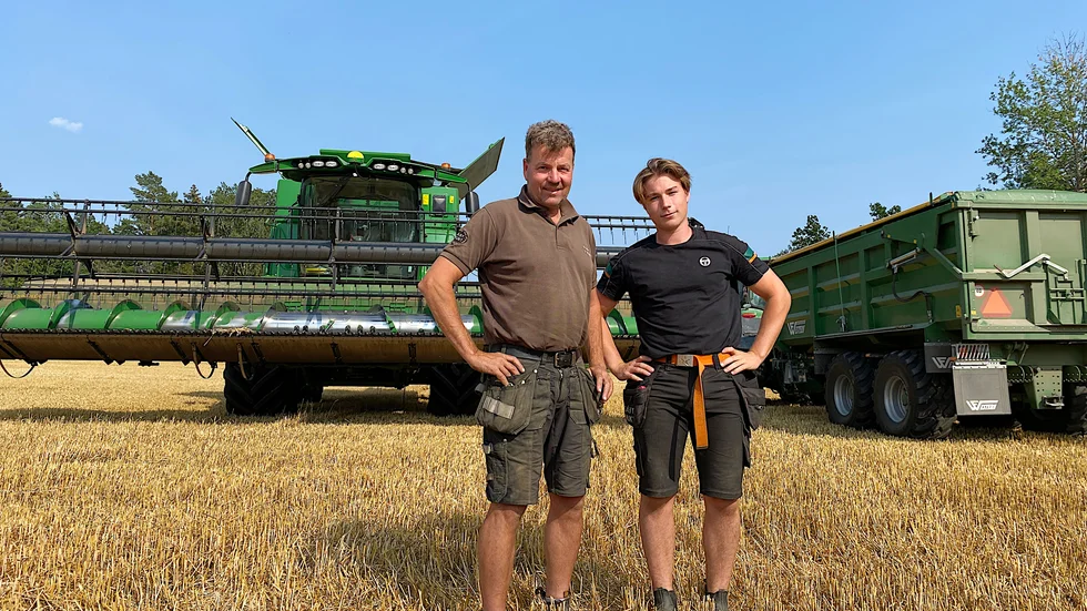 Spannmålsskörden 2021 ser fin ut vid Säby gård i Veckholm. Peter Sivander och sonen Jakob skördade höstvete på tisdagen och hoppades även att hinna med lite ärter innan det utlovade regnet kom.