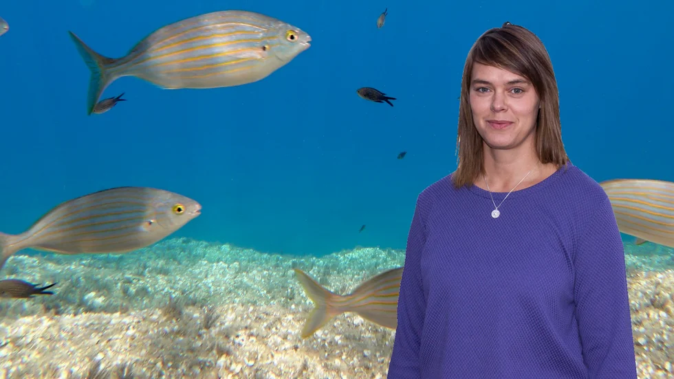 ”Kollegan var helt fascinerad, inte utav fisken, utan av att någon forskare över huvud taget ville fördjupa sig i detta ämne”, skriver krönikören.