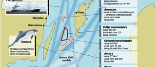 Flytande vindkraftverk mellan Öland och Gotland