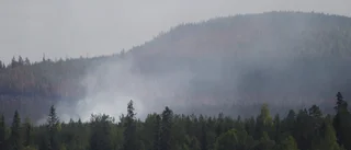 Därför behöver länets skogar brinna