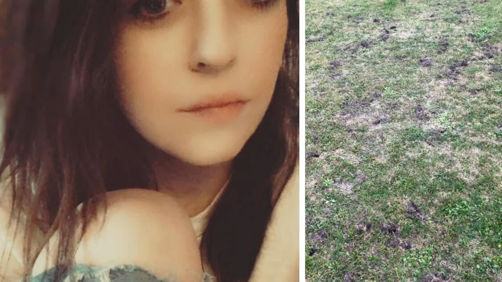 Hos Emmely Hjelte i Kisa har grävlingar ställt till med problem i omgångar, sedan tidiga sommaren.