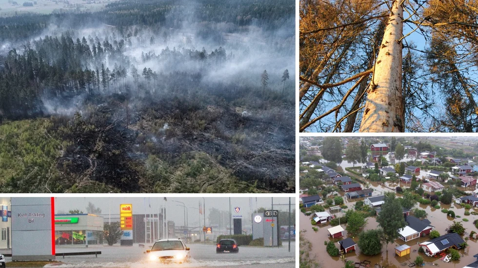 Skogsbranden i Tjällmo, översvämningen på Vintergatan 2014, översvämningen i Gävle i somras och angrepp som av granbarkborren. Klimathotet märks i Sverige och i vårt närområde.