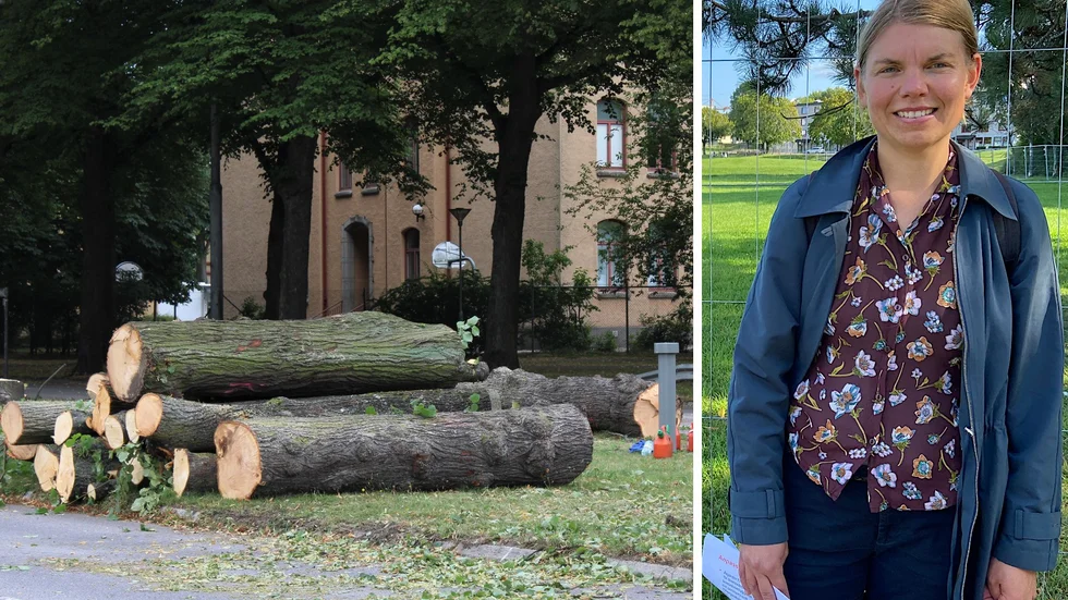 Carolina Olsson, landskapsarkitekt, är glad över att Norrköpingsborna ges möjlighet att ta del av lindarna.