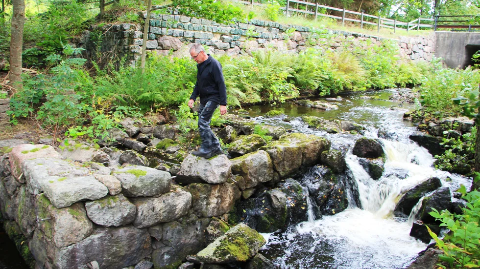 Dammluckorna är stängda och strömfåran borde vara torrlagd. Peter Ekdahl kan konstatera att så inte är fallet.