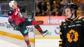 Sandin Pellikka och Brandsegg-Nygård utslagna – AHL-säsongen över