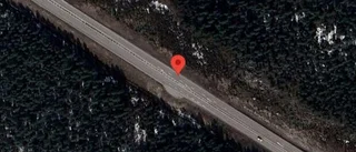 Varnar för renar på vägen på E4