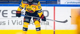 Uppgifter: En handfull allsvenska klubbar vill låna Luleålöfte
