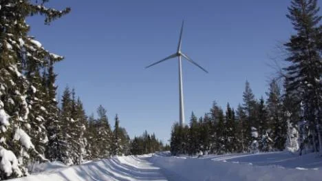 Det råder brist på vindkraftstekniker i Sverige. Därför kan inte alla vindkraftverk gå för fullt. (Arkivbild)