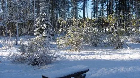 Första snön i Stockbäcken denna höst.
