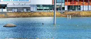Nya framsteg för Barents center