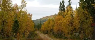 Sameby säger nej till vindkraft i Sverko