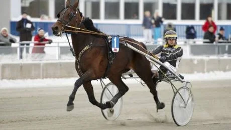 Liberty F.H har haft det lite motigt i år med endast 1 seger på 15 försök. Men i går kom seger nummer två och det på ett övertygande sätt. Liberty F.H. var V4-spelets enda skräll, vinnaroddset var 16.85.