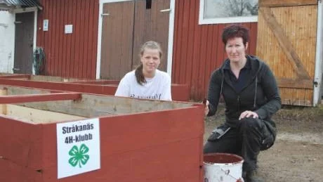 FÖRBEREDER. Jonna Wallgren och Ann-Kristin Sandström på 4H- gården Ponderosa förbereder planteringslådorna.   Foto: Britt-Louise Spets