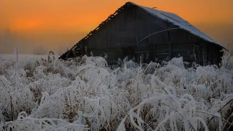 En kall eftermiddag i Svensbyn med frost. Solen försöker tränga igenom dimman
