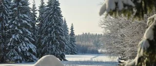 Dagens väderbild