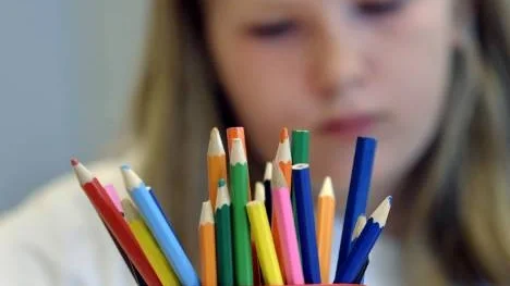 Det är inte kunskaper om vilka behov av stöd som eleverna har som saknas i dagens förskola och skola. Det är resurser för att kunna göra något åt dessa behov av stöd som saknas.
