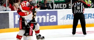 Luleå Hockey är i SM-final