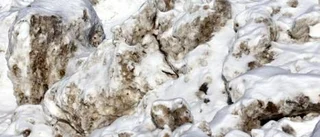 "Snötippar inget miljöproblem"