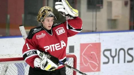 Det blev sju seriematcher med Piteå Hockey för målvakten Oskar Sehlstedt förra säsongen. Nu är Oskar klar för Piteå, men han kommer även att spela utvalda matcher för Skellefteå AIK:s J 20-lag i superelit.