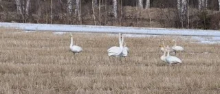Dagens väderbild