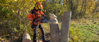 Här inreder studenterna rum i naturen i Flogsta • "Vissa är oroliga att vi ska såga ner hela skogen"