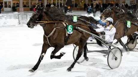 VINST. Global Olympic med Patrik Nygren i sulkyn tog hem V65-2 på Bodens travbana.