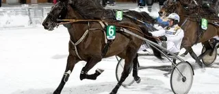 Ännu en pallplats