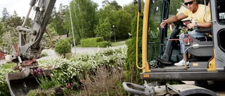 Trädgård - nej tack!