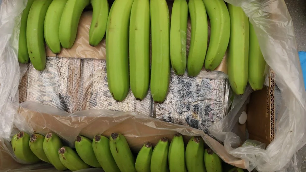 Banancontainrar från Ecuador har återkommande använts för kokainsmuggling. I mars togs ett jättebeslag på 800 kilo i Norge. Arkivbild.