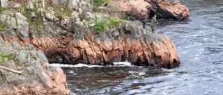 Laxen - ett svårt fall