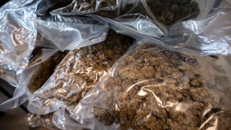 Nätverket misstänks bland annat ha smugglat stora mängder cannabis. Arkivbild.