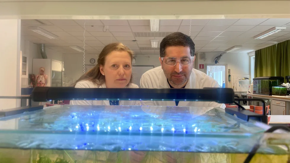Mohammad Mirmohades och Anna Nordström är lärare på Högbergsskolans naturvetenskapsprogram som nu pausas nästa år. "Kommunen tar en stor risk när det gör på det här viset och det kan få långsiktiga konsekvenser", säger Anna Nordström.