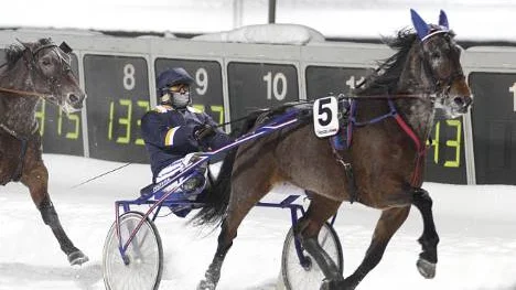 Dreamteam: Roger Nilsson och Cross Section.