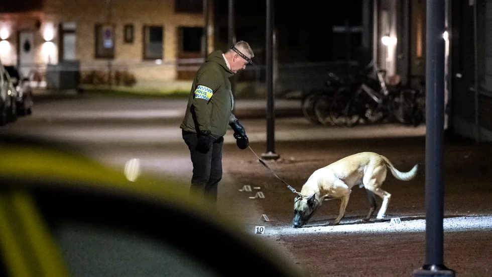 Polis med vapenhund på plats i Mariastaden i Helsingborg tidigt på påskaftons morgon efter larm om skottlossning.