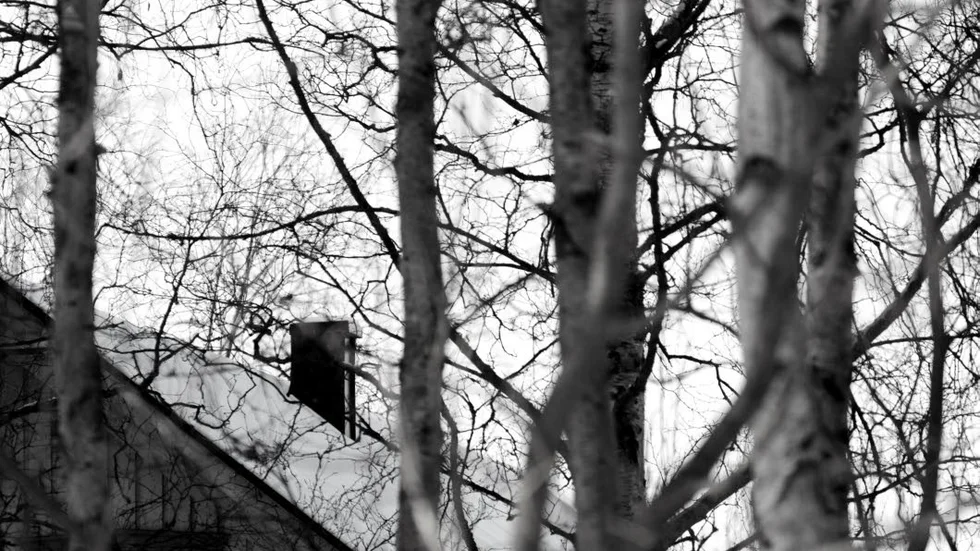 Personer med missbruksproblem skjutsas fram och tillbaka från det ökända huset i ett villaområde i Piteå.