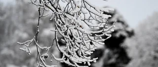 Kraftigt försenade flyg i snöovädret