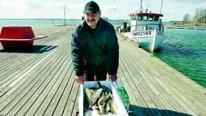 Göran Johansson, siste yrkesfiskaren härinne i Bråviken, kommer med dagens fiskefångst på Sandviksbryggan. En brygga som nu står i begrepp att renoveras för över två miljoner kronor. I bakgrunden ses Görans båt förtöjd vid bryggan. Foto: Titti Olovsson