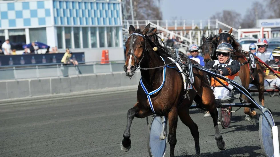 PT-sportens travexpert spikar Ove A Lindqvist med favoriten Lexington Tooma.