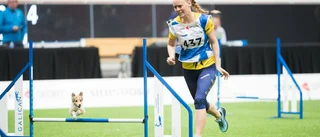 Missförstånd ledde till utebliven pallplats