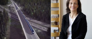 M-besked efter heta debatten: "Det finns inte några planer på att stoppa Ostlänken"