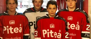 Norrbotten vidare i TV-pucken